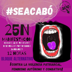 Asambleas Feministas llaman a manifestarse el 25N contra las violencias machistas