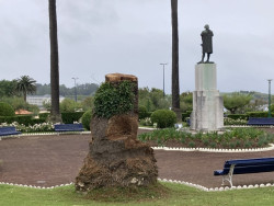 Asesinos de árboles y de espacios verdes.    Mariano Cabrero Bárcena es escritor