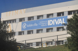 Asociaci&oacute;n de Investigadores Hospitalarios pide el cese de gerente del IDIVAL por "usar y tirar" investigadores