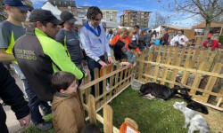 Astillero acoge hoy la Feria de Productores y Artesanos de Cantabria por las Fiestas de San José