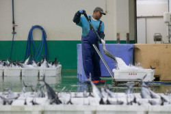  Atunlo se queda sin liquidez para pagar al personal despedido y pide concurso de acreedores