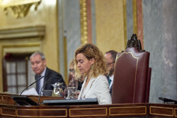 Batet rechaza la petici&oacute;n de PP, Vox y Ciudadanos de suspender el Pleno de la ley de sedici&oacute;n hasta que hable el TC