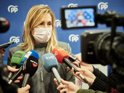 Beltr&aacute;n (PP), a Otegi: "La capital de la Patria Vasca no es Pamplona. 