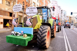 Blanco pide a los transportistas en huelga que dejen recoger la leche de los ganaderos c&aacute;ntabros