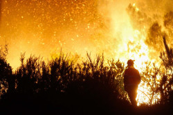 Bola&ntilde;os avanza que el Gobierno trabaja para "agilizar" las ayudas a los afectados por los incendios
