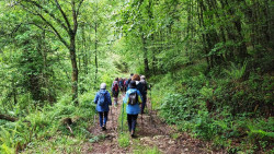 Bosques de Cantabria inicia hoy sus itinerarios interpretativos con una ruta que homenajea al A&ntilde;o Santo Lebaniego