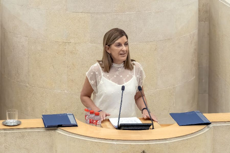  Buruaga anuncia un proyecto privado de 40 millones para una piscina de olas en Ribamont&aacute;n al Monte