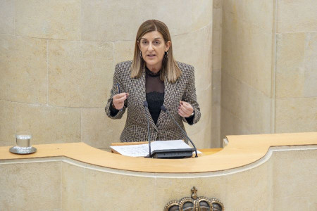 Buruaga dice al PSOE que este gobierno se parece al PSOE-PRC como un huevo a una casta&ntilde;a