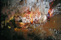 Cabárceno, Fuente Dé y El Soplao suman 73.500 turistas en la primera quincena de julio