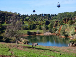 Cab&aacute;rceno registra este Jueves Santo casi el doble de visitantes que el de 2024