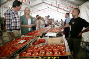 Cabez&oacute;n de la Sal celebrar&aacute; este s&aacute;bado su I Feria Agroalimentaria con cuarenta puestos