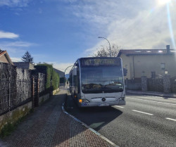 Camargo demanda al Gobierno el refuerzo de la línea de autobús S1 ante la saturación del servicio en horas