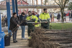Camargo reparte hoy 2.040 árboles autóctonos dentro de la Campaña de Repoblación Forestal