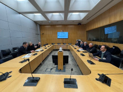 Canarias entiende que 4.000 menores migrantes deber&aacute;n salir en un reparto que ya cuenta con un texto consensuado