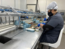 Cantabria ampl&iacute;a con un mill&oacute;n m&aacute;s las ayudas a la transformaci&oacute;n y comercializaci&oacute;n de productos de pesca