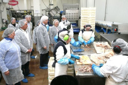 Cantabria concede 4,5 millones de euros a 31 empresas para la transformaci&oacute;n y comercio de productos de pesca