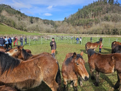 Cantabria convocará esta semana la Mesa Agraria para abordar los problemas del sector