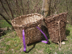 Cantabria despide 2021 con el cuévano vacío   Por Carlos Magdalena