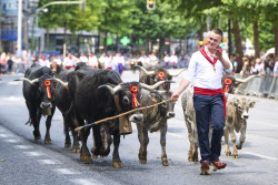 Cantabria es la comunidad con mayor peso de la producci&oacute;n animal en el total de la agraria, seg&uacute;n Unicaja