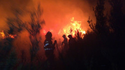 Cantabria estar&aacute; en riesgo elevado de incendios forestales por el viento sur los pr&oacute;ximos d&iacute;as