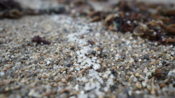 Cantabria exige al Ministerio que intervenga mar adentro para frenar la llegada de p&eacute;lets y refuerzos por tierra