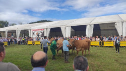 Cantabria exige al Ministerio una reunión "urgente" para analizar la futura PAC que "perjudicaría" al sector primario
