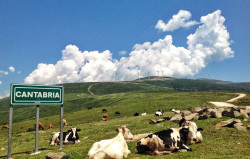 Cantabria Liberal revolucionó el sector ganadero al informar de la presunta venta a pérdidas de leche gallega en Makro
