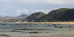 Cantabria lucir&aacute; este verano 11 banderas azules en sus playas, una m&aacute;s al sumarse Helgueras en Noja