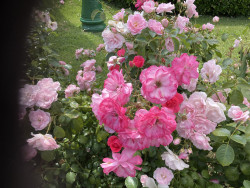  Cantabria para este lunes, 10 de junio: precipitaciones débiles y lloviznas