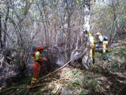 Cantabria tiene activos tres incendios forestales en Miera y Arredondo