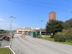 Cantabria y Ministerio de Industria plantearán a Bridgestone "alguna ayuda o incentivo" que mejore su competitividad