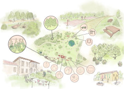 Cantabristas propone crear un nuevo espacio verde y cultural en La Remonta