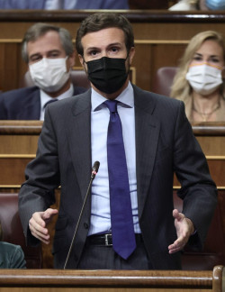 Casado afea a S&aacute;nchez que no suba a la tribuna del Congreso a defender los PGE como exig&iacute;a a Rajoy desde la oposici&oacute;n