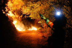 Casi el 40% de los espa&ntilde;oles apuesta por transferir al Gobierno las competencias en materia de incendios, seg&uacute;n el CIS