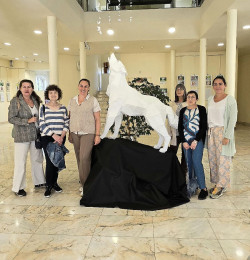 Castro Urdiales acoge una exposición de la Asociación Lupus Cantabria para visibilizar la enfermedad