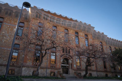 Catalu&ntilde;a detecta 10 casos de tuberculosis en un asentamiento ocupado de Badalona (Barcelona)