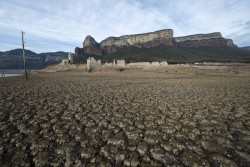 Catalunya declara emergencia por sequ&iacute;a en 202 municipios, tambi&eacute;n las &aacute;reas de Barcelona y Girona