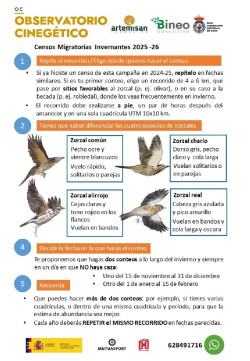Cazadores inician este sábado la nueva campaña de censos de aves migratorias invernantes
