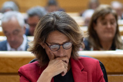 CC defender&aacute; la pr&oacute;xima semana en el Congreso que el parque marino en El Hierro no sea gestionado s&oacute;lo por el Gobierno