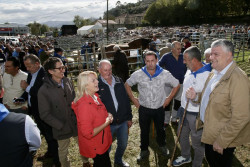 Cerca de 600 animales de 55 ganader&iacute;as participan en la feria de San Lucas de Hoznayo