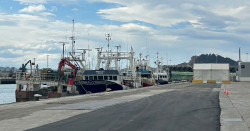 Cesar Diaz dice que se está  reparando la avería del puente de Raos después de la denuncia de los pescadores
