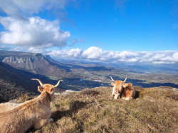 Cielo soleado este s&aacute;bado en la mitad este del pa&iacute;s, mientras que la mitad oeste estar&aacute; nublada con lluvias en Galicia