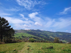 Cielos soleados y temperaturas de verano protagonizar&aacute;n el fin de semana aunque la lluvia entrar&aacute; por Galicia