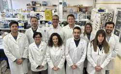 Científicos alertan de la propagación de un gen que confiere a las bacterias resistencia a antibióticos vitales