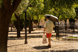 Cinco comunidades aut&oacute;nomas con avisos este domingo por altas temperaturas y tormentas en forma de granizo