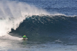 Comienza la Vaca Gigante, que puede seguirse en directo en YouTube