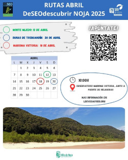 Comienzan las rutas ornitológicas DeSEOdescubrir de Noja
