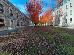 Confirmada la prisión a cinco personas por prostituir a una joven a la que trajeron engañada de Colombia