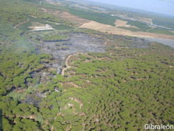 Controlado el incendio de Gibrale&oacute;n declarado este lunes y estabilizado el de Almonte