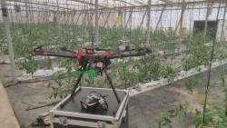 CTC trabaja en una solución robótica para optimizar la agricultura de invernadero